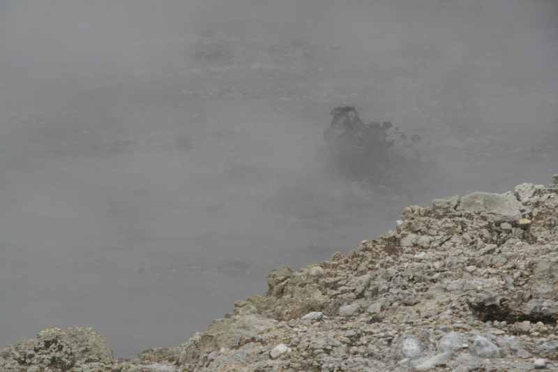 Nieuw-Zeeland 2011 - 0614